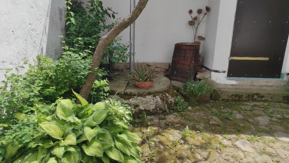 Ubytovani Pod Jilmem Zar Bagian luar foto