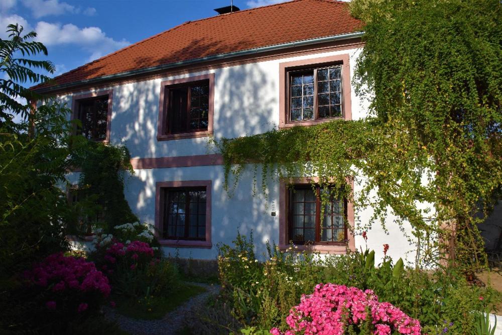 Ubytovani Pod Jilmem Zar Bagian luar foto